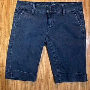American Eagle Outfitters Men's Dark Blue Relaxed Denim Shorts